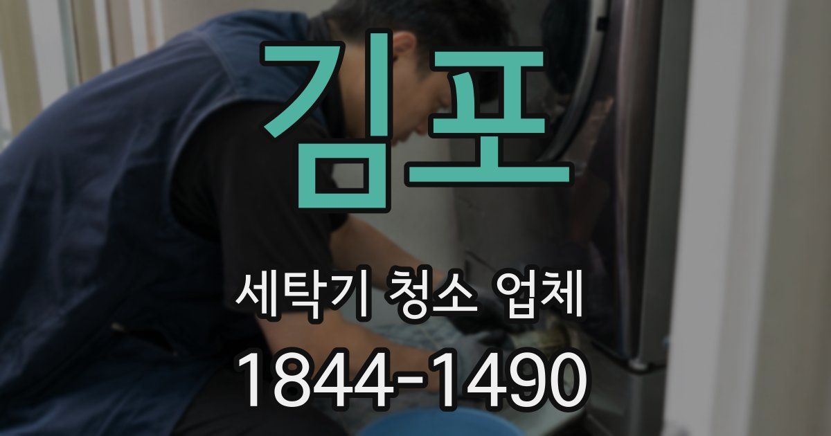 김포 세탁기 청소 업체