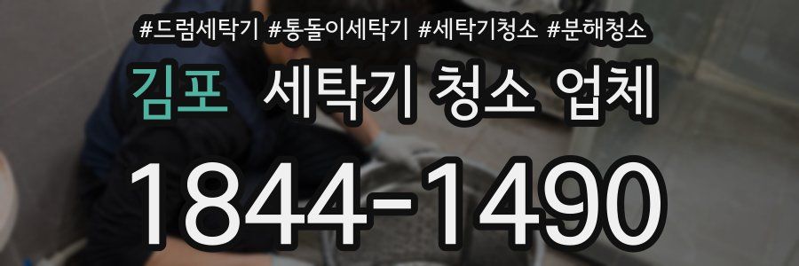 김포 세탁기 청소 업체
