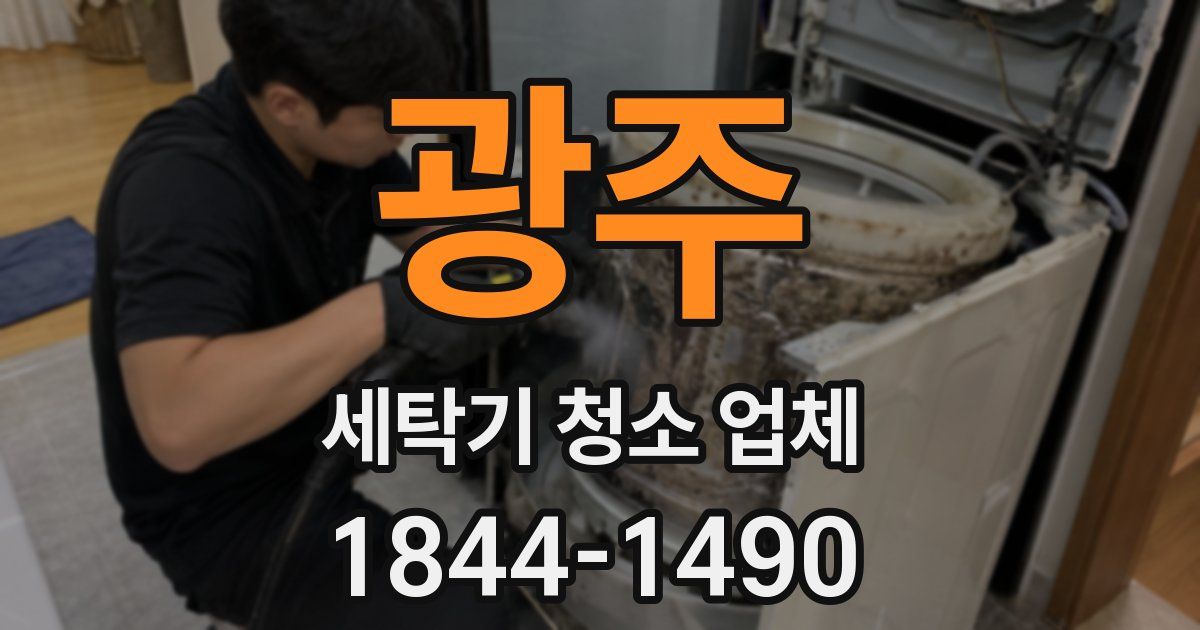 광주 세탁기 청소 업체
