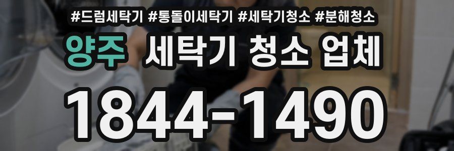 양주 세탁기 청소 업체