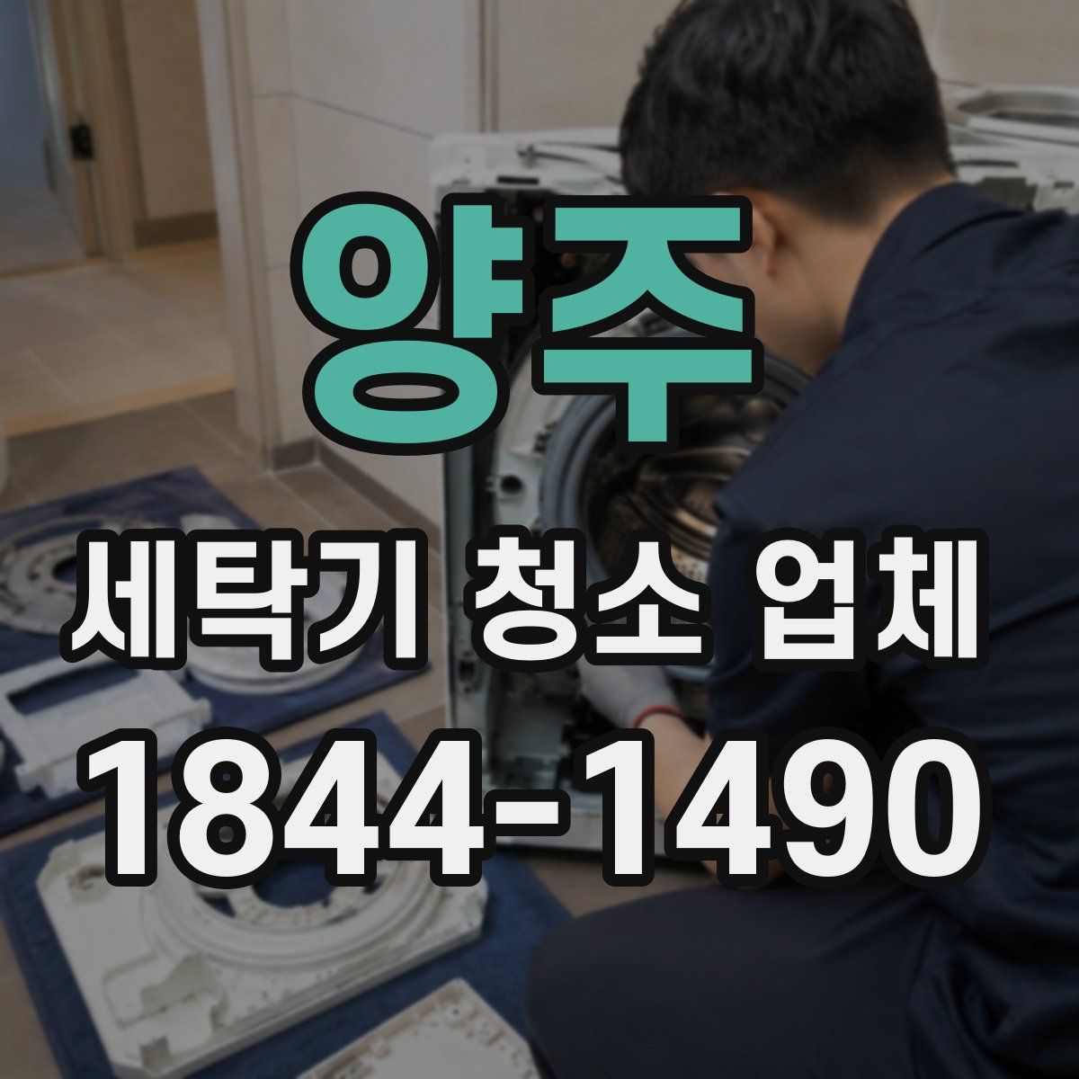 양주 세탁기 청소 업체