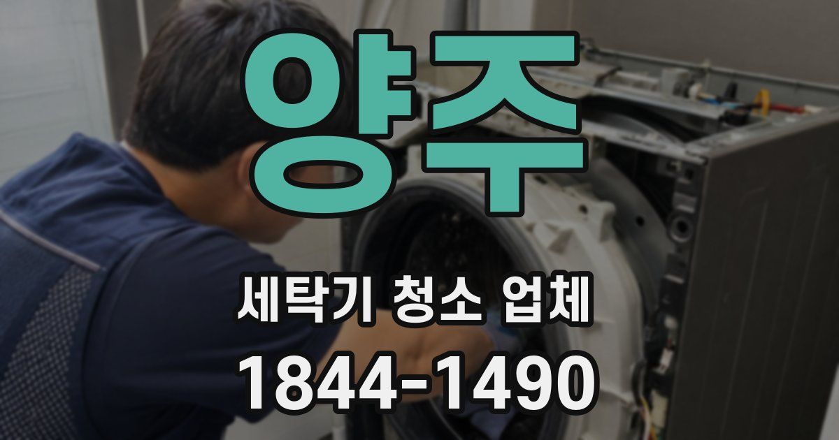 양주 세탁기 청소 업체