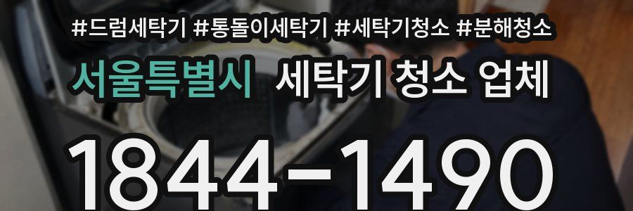 서울특별시 세탁기 청소 업체