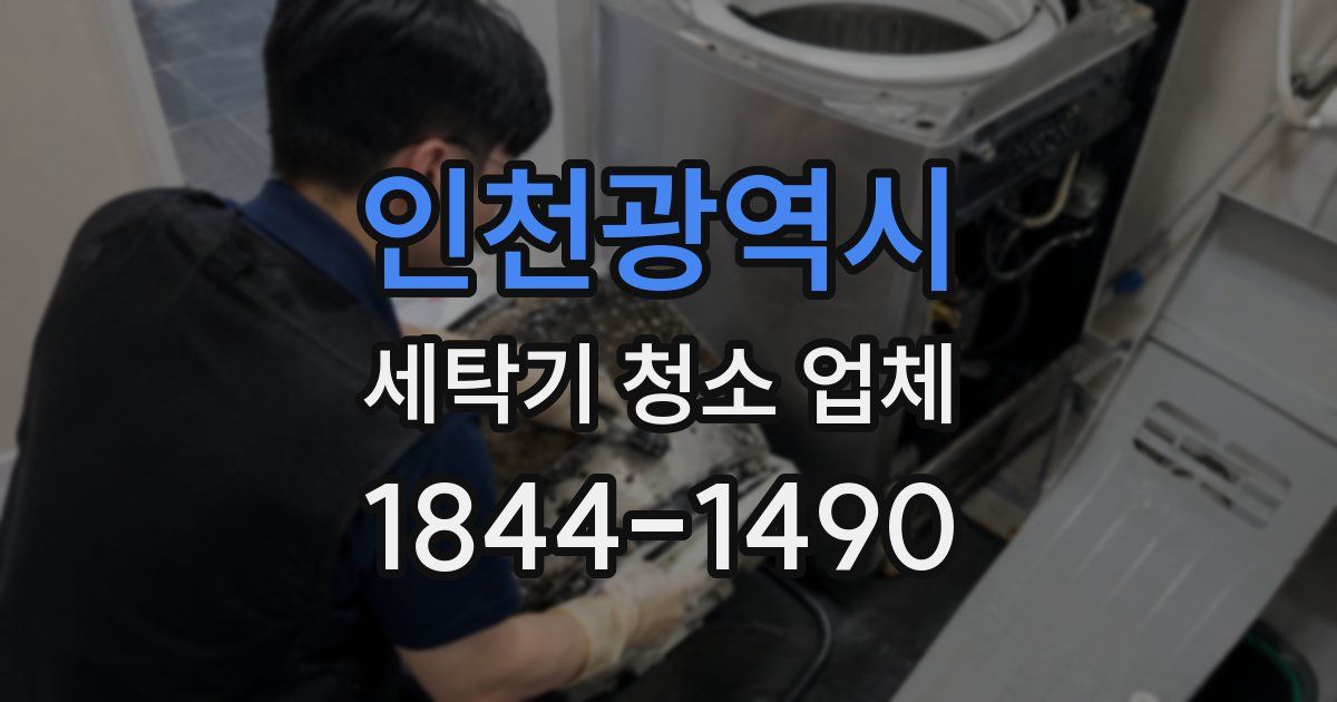 인천광역시 세탁기 청소 업체