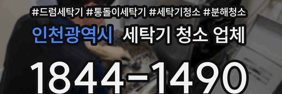 인천광역시 세탁기 청소 업체