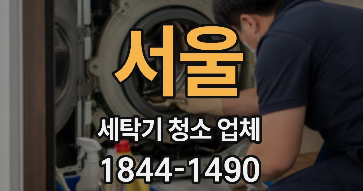 서울 세탁기 청소 업체