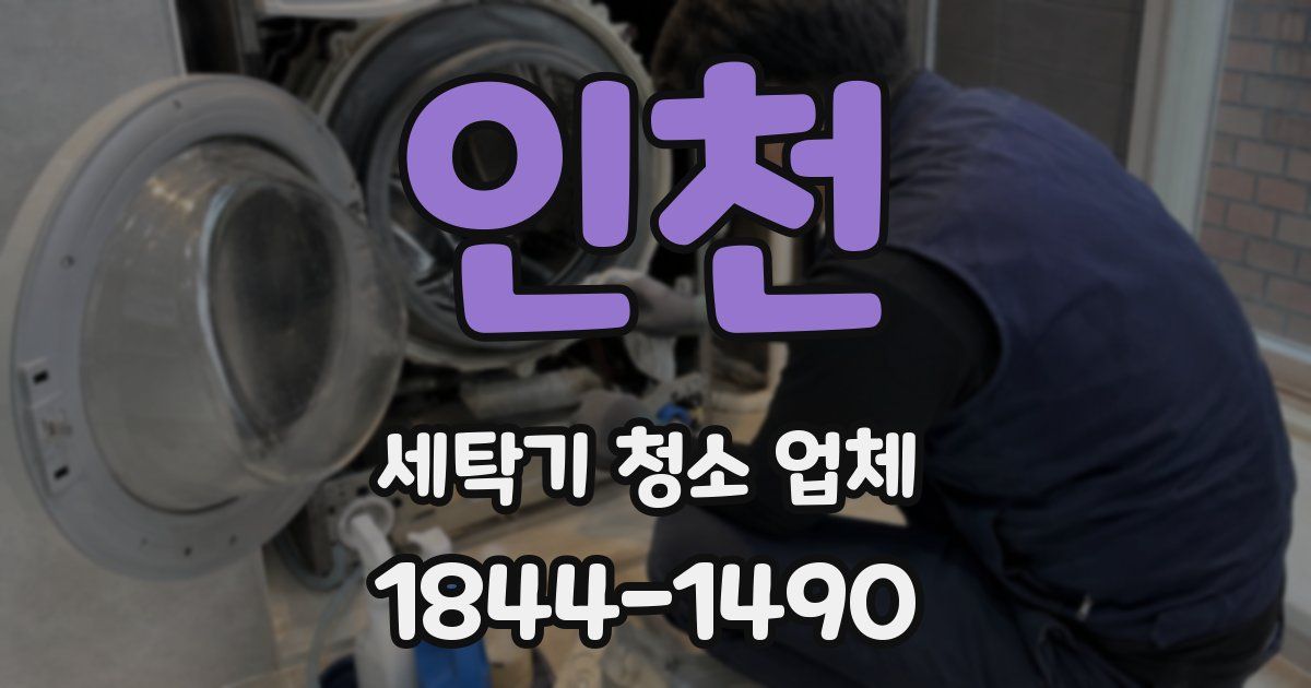 인천 세탁기 청소 업체