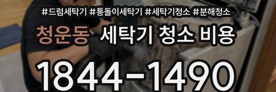 청운동 세탁기 청소 비용