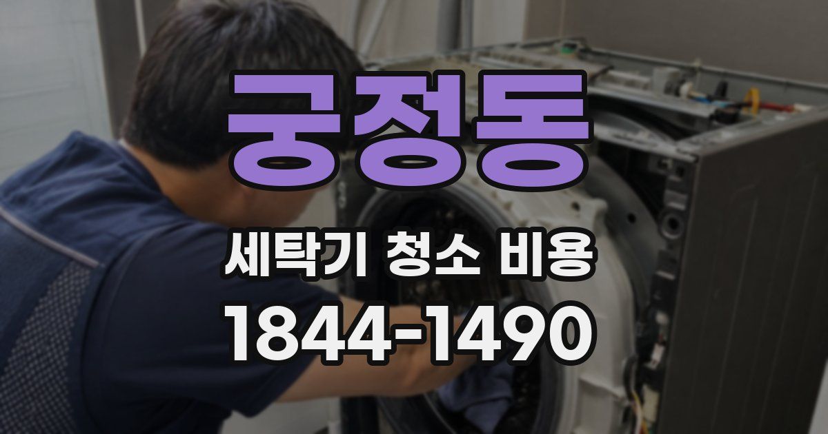 궁정동 세탁기 청소 비용