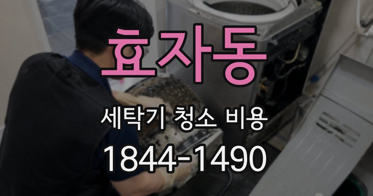 효자동 세탁기 청소 비용