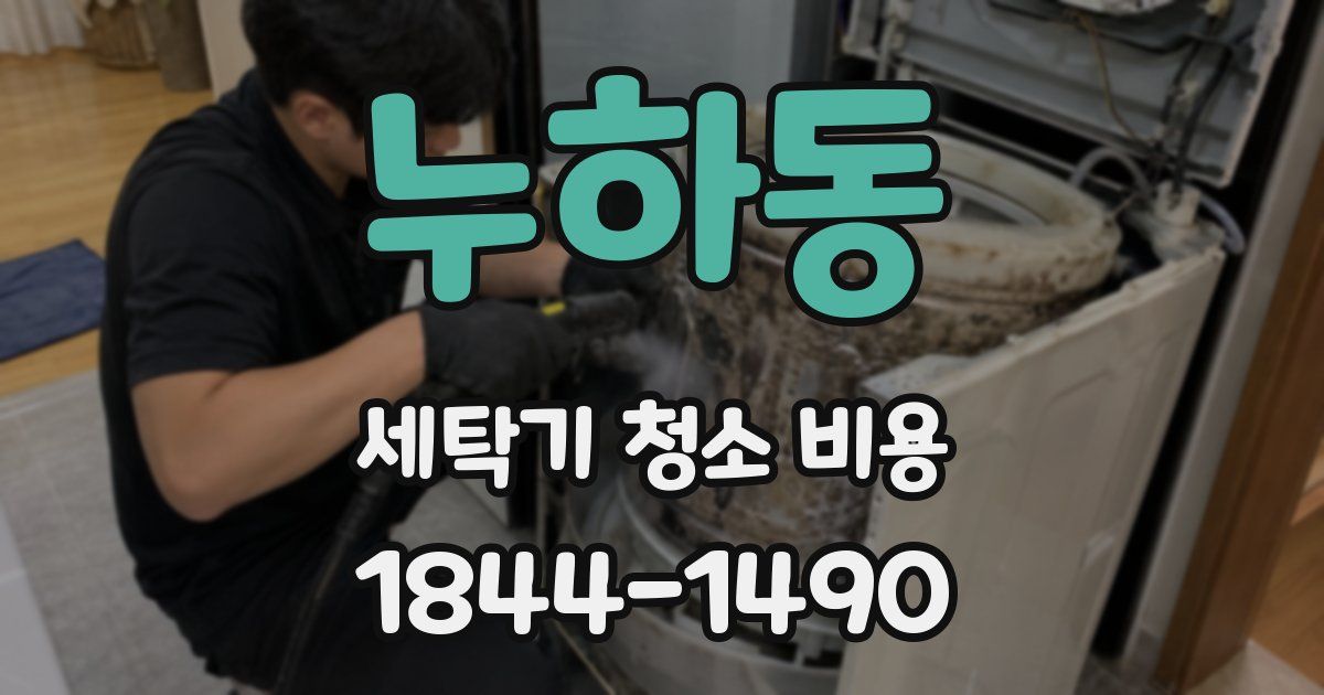 누하동 세탁기 청소 비용