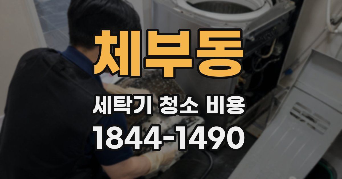 체부동 세탁기 청소 비용