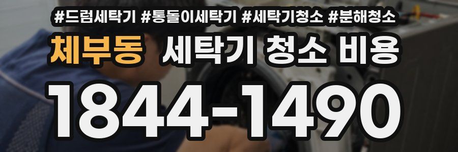 체부동 세탁기 청소 비용