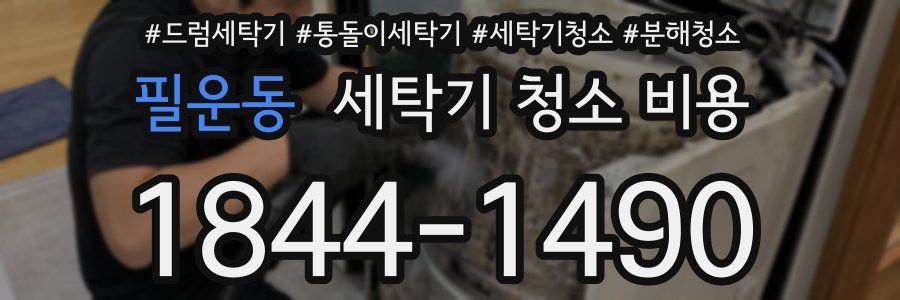 필운동 세탁기 청소 비용