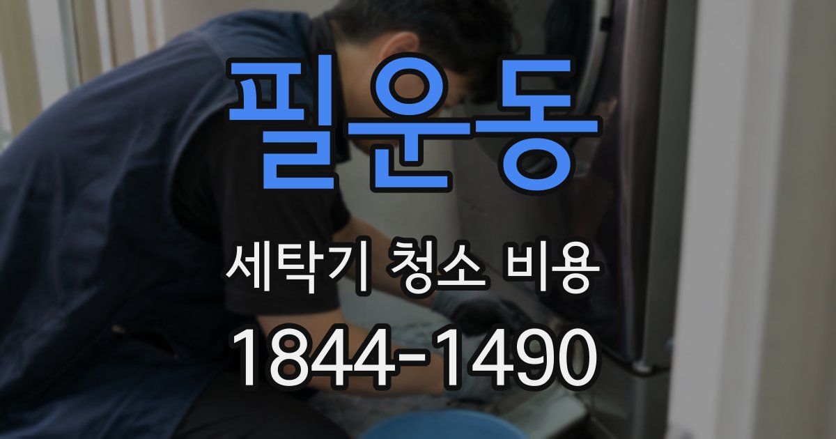 필운동 세탁기 청소 비용