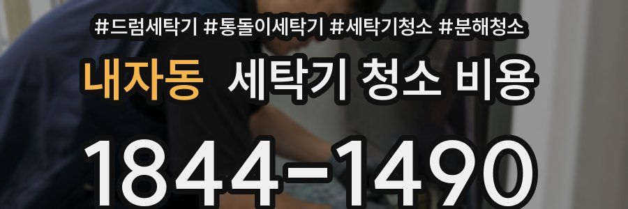 내자동 세탁기 청소 비용