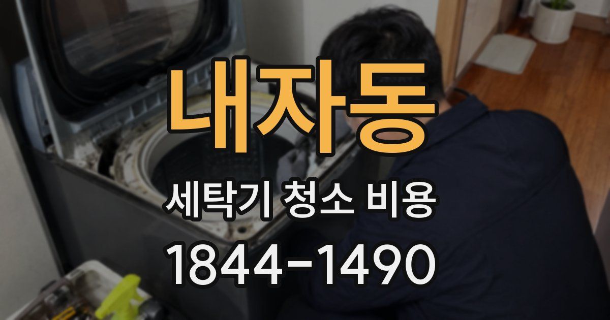 내자동 세탁기 청소 비용