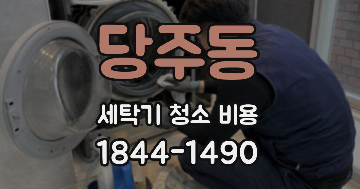 당주동 세탁기 청소 비용