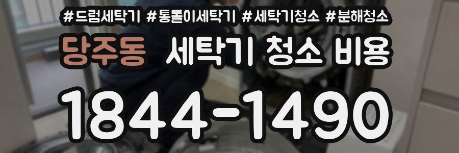 당주동 세탁기 청소 비용