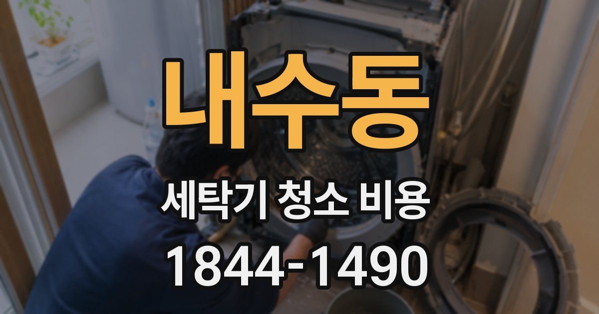 내수동 세탁기 청소 비용