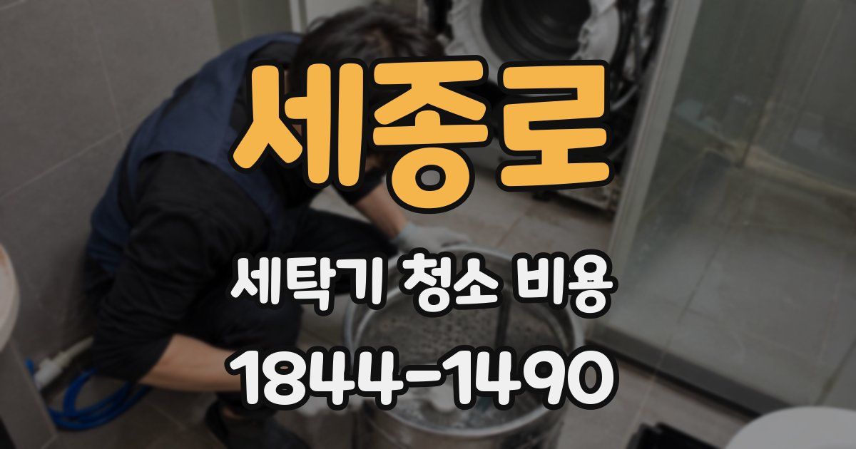 세종로 세탁기 청소 비용