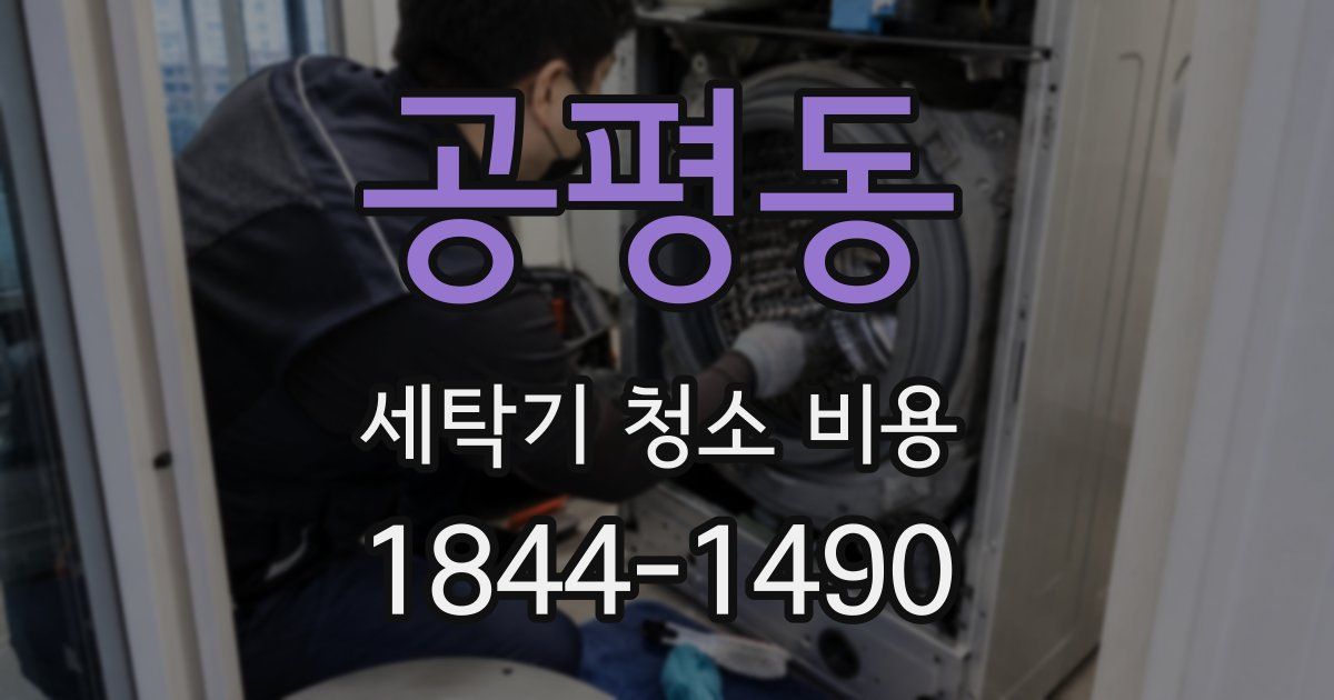 공평동 세탁기 청소 비용