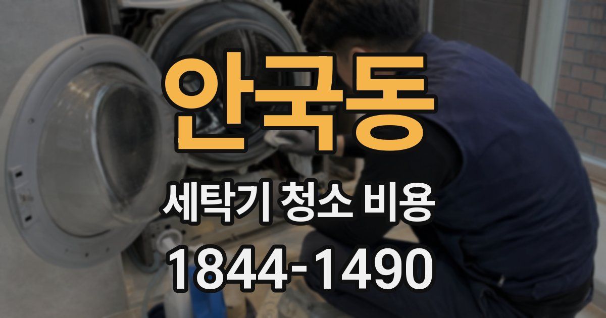 안국동 세탁기 청소 비용