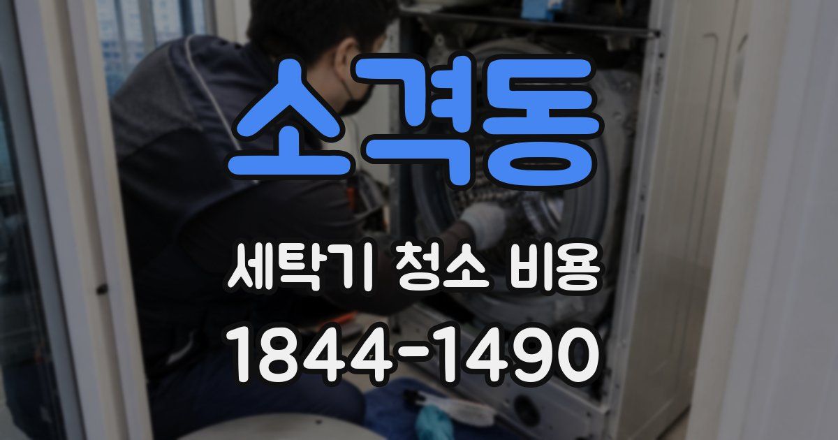 소격동 세탁기 청소 비용