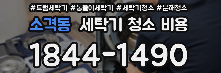 소격동 세탁기 청소 비용