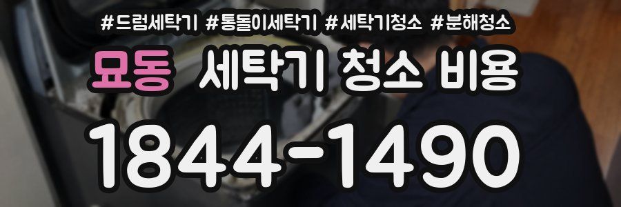 묘동 세탁기 청소 비용