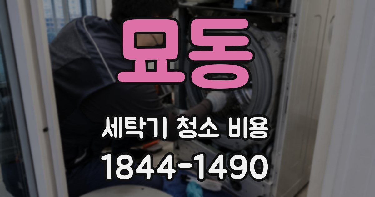 묘동 세탁기 청소 비용