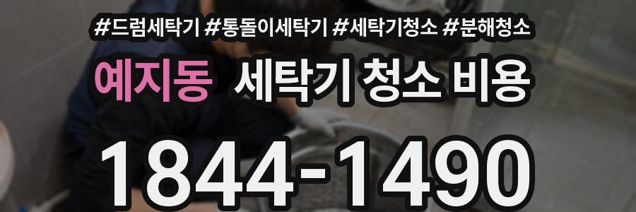 예지동 세탁기 청소 비용