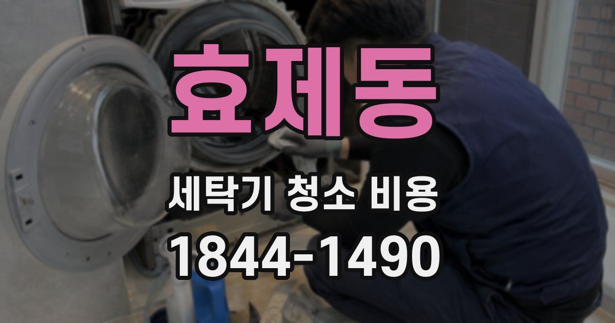 효제동 세탁기 청소 비용