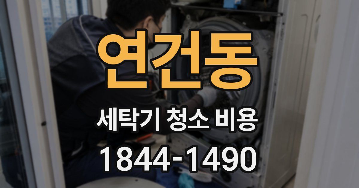 연건동 세탁기 청소 비용