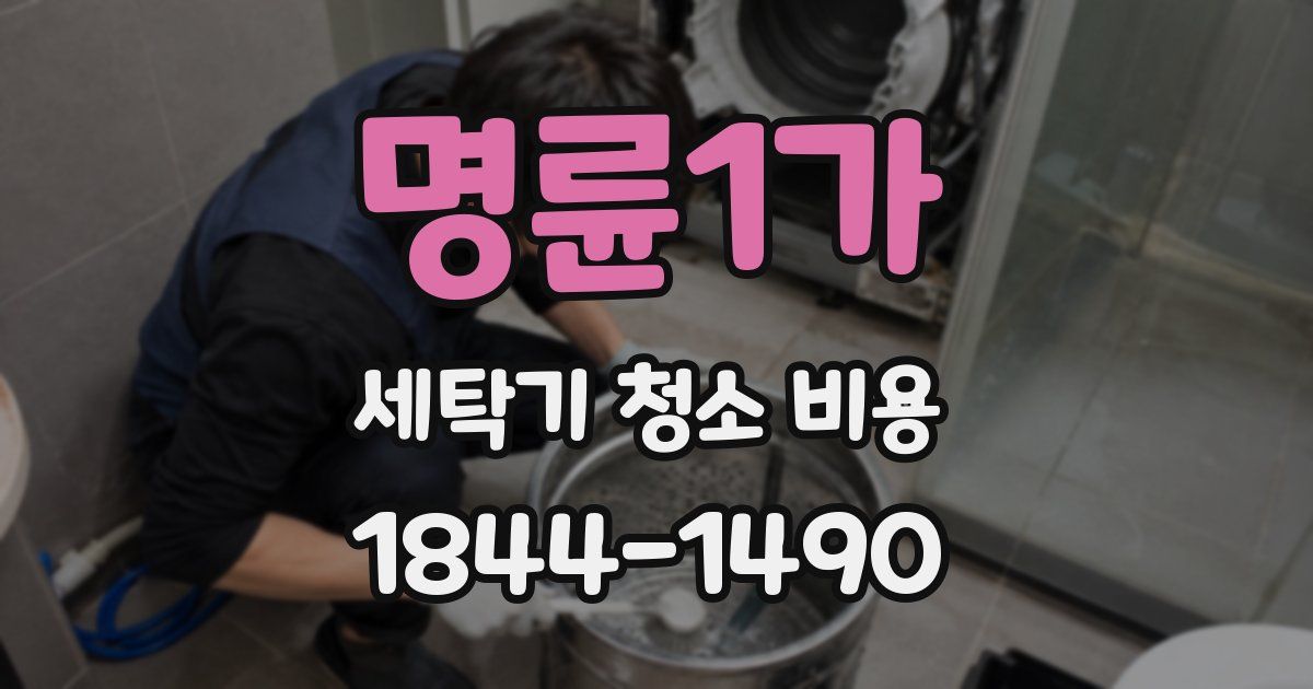 명륜1가 세탁기 청소 비용