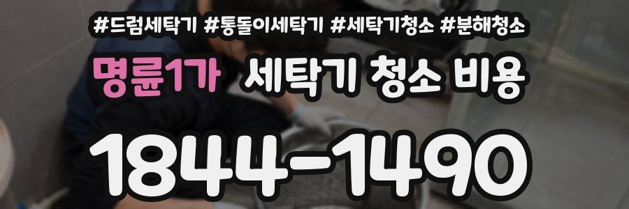 명륜1가 세탁기 청소 비용