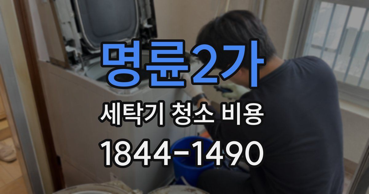 명륜2가 세탁기 청소 비용