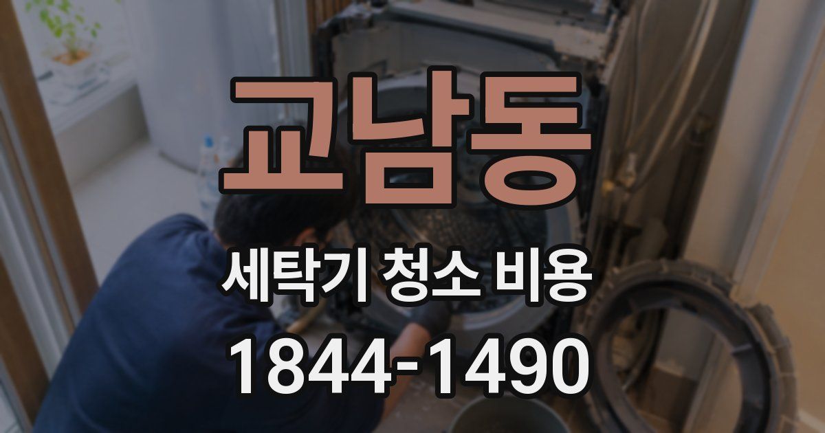 교남동 세탁기 청소 비용