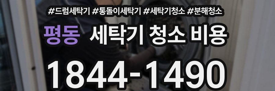 평동 세탁기 청소 비용