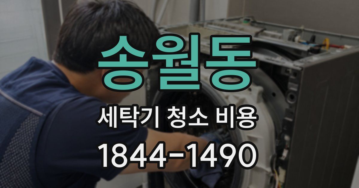 송월동 세탁기 청소 비용
