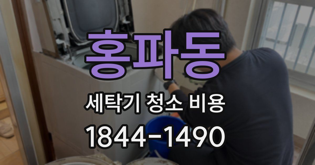 홍파동 세탁기 청소 비용