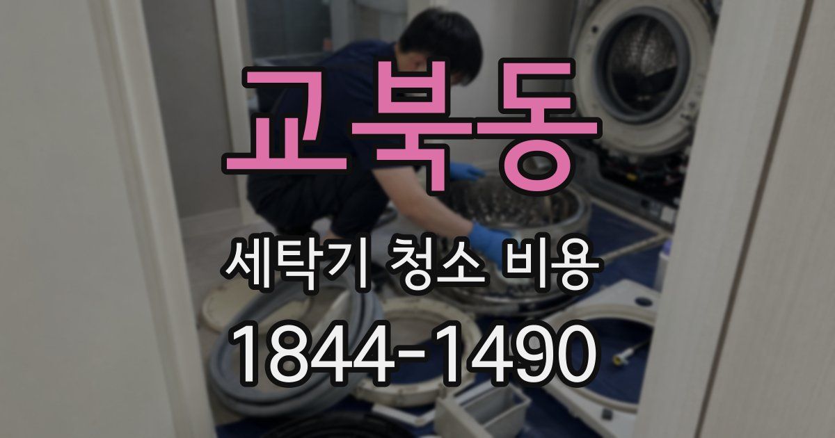 교북동 세탁기 청소 비용