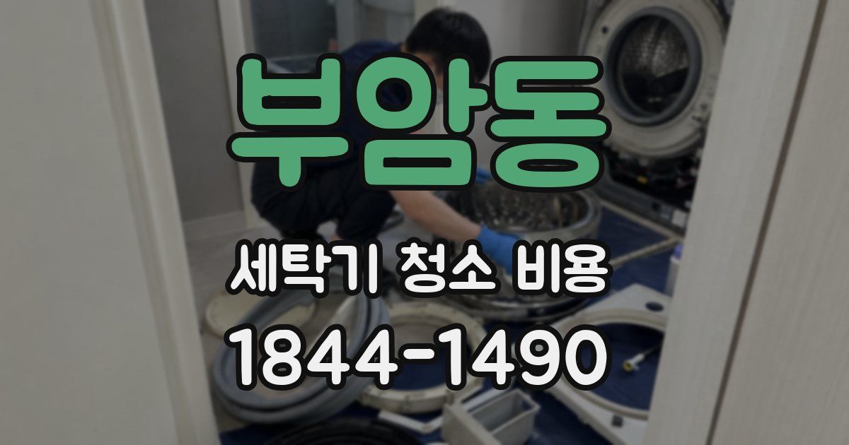 부암동 세탁기 청소 비용