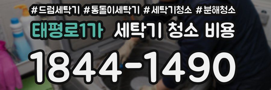 태평로1가 세탁기 청소 비용