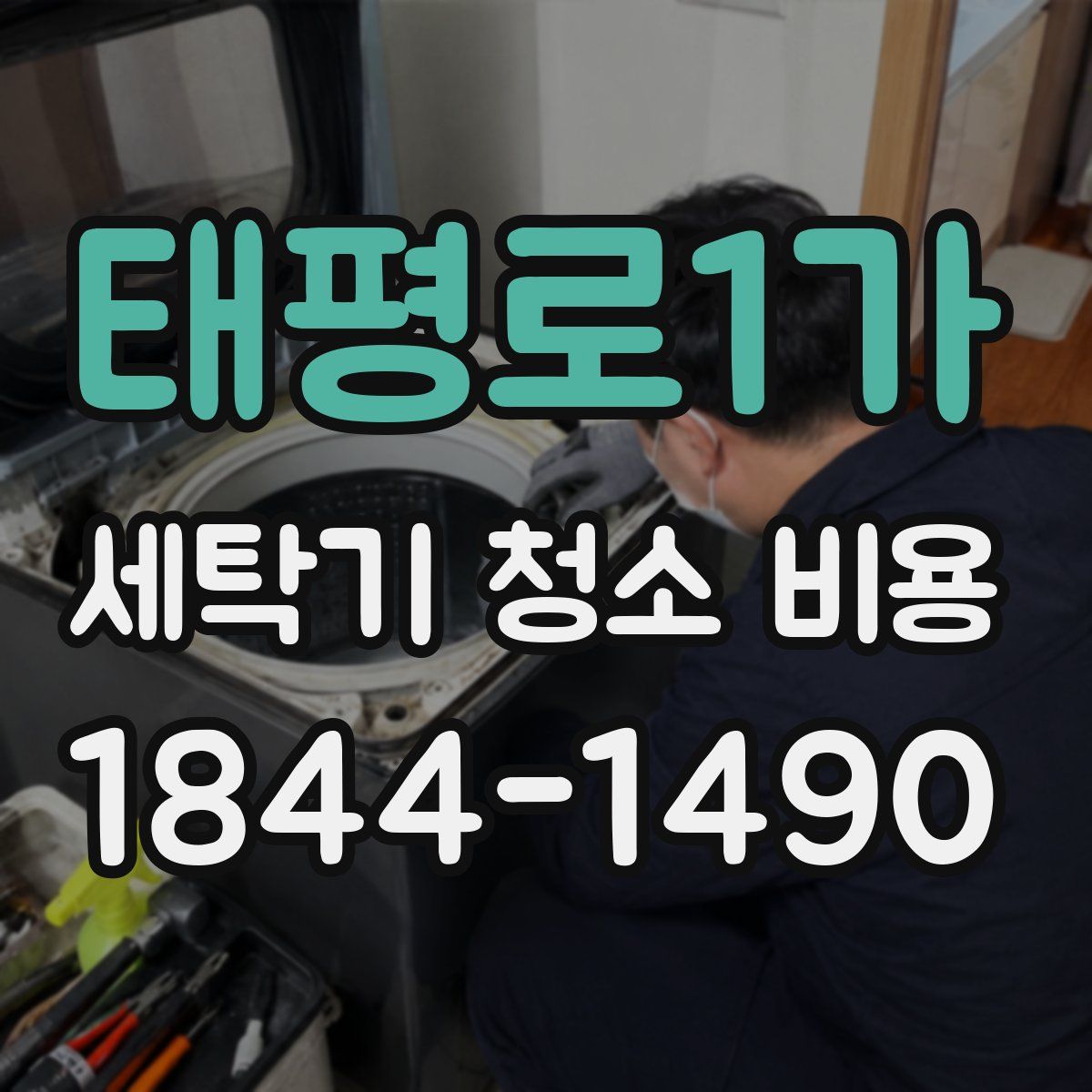 태평로1가 세탁기 청소 비용