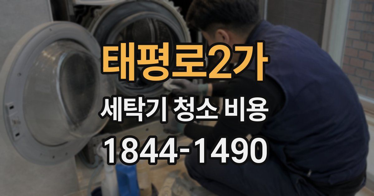 태평로2가 세탁기 청소 비용