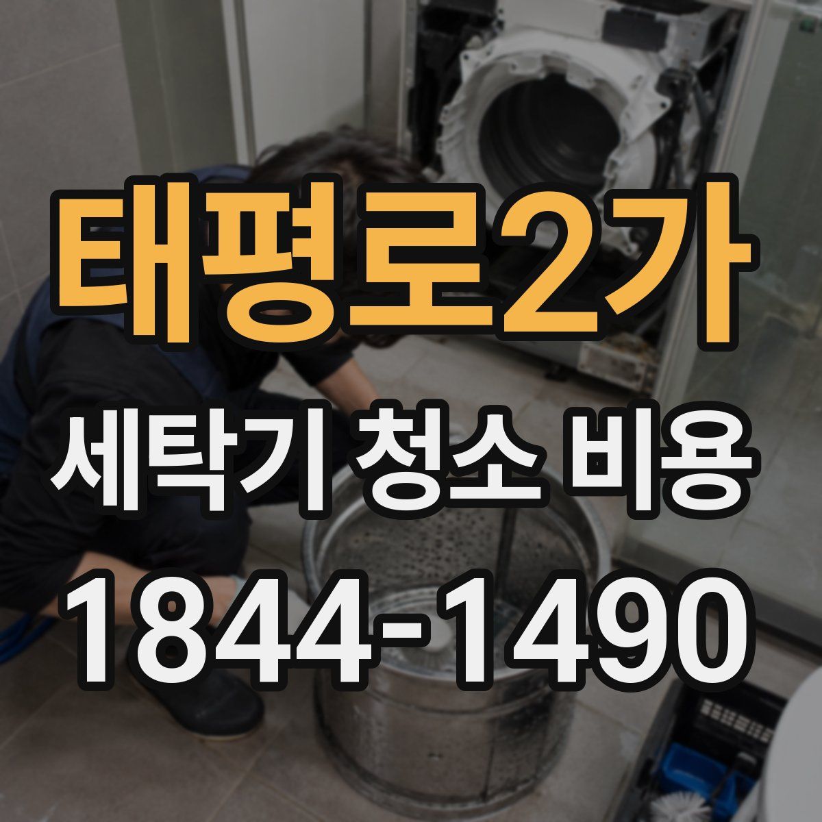 태평로2가 세탁기 청소 비용