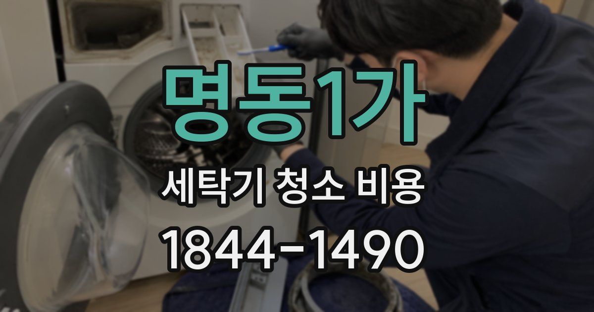 명동1가 세탁기 청소 비용
