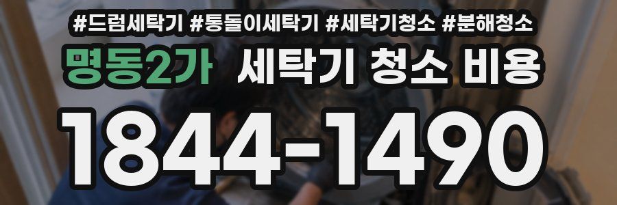 명동2가 세탁기 청소 비용
