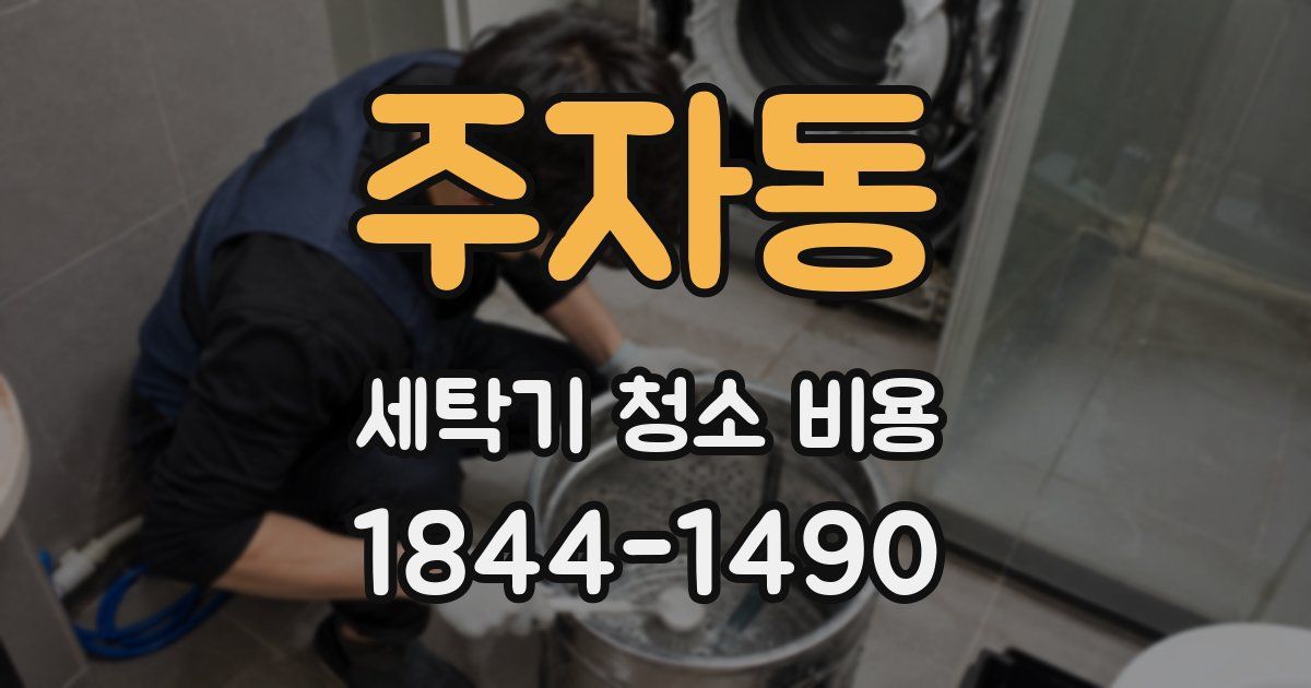 주자동 세탁기 청소 비용
